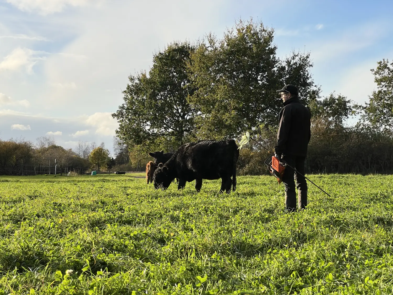 Laasbækgård med dyr og landmand på marken