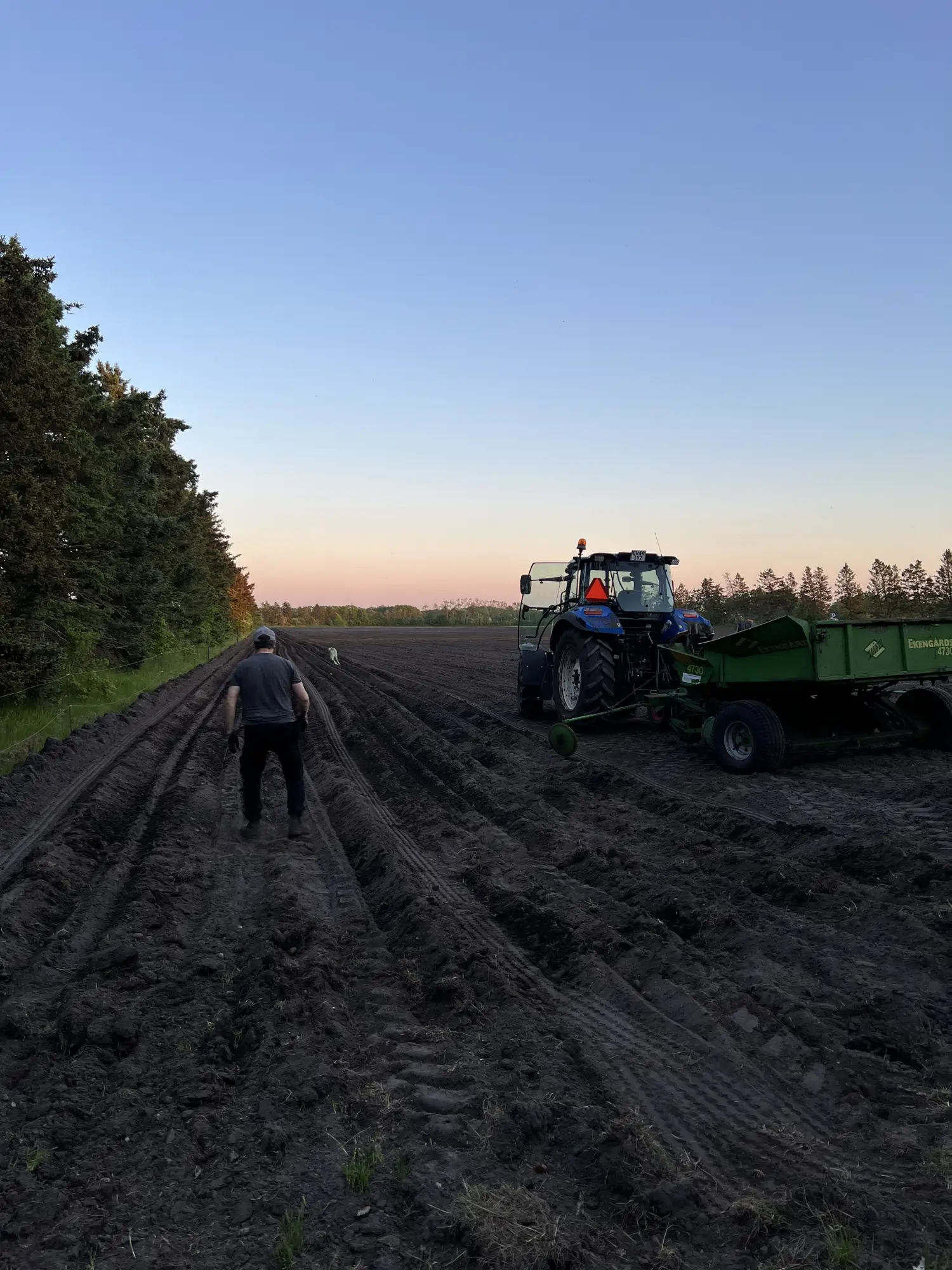 Dagligt markarbejde på Laasbækgaard