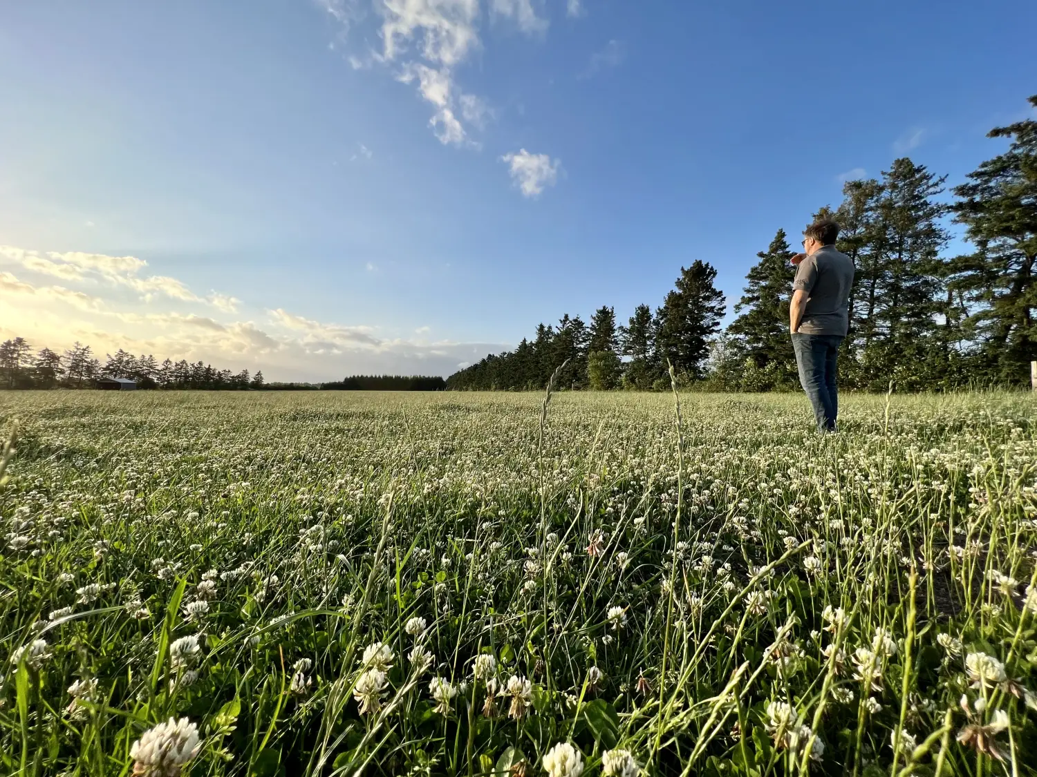 Markerne omkring Laasbækgård